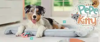 Maxi Zoo AniOne hundeseng 2i1 Pepe & Kitty tilbud