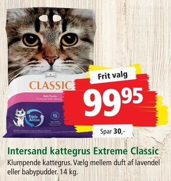 Maxi Zoo Intersand kattegrus Extreme Classic tilbud