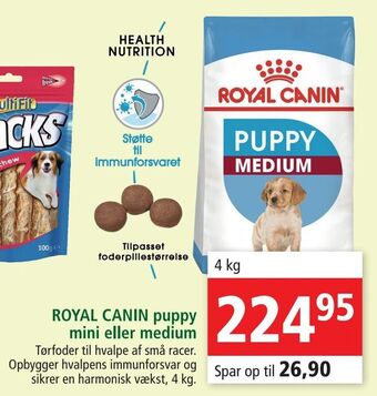 Maxi Zoo ROYAL CANIN puppy mini eller medium tilbud
