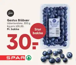 SPAR Gestus Blåbær tilbud