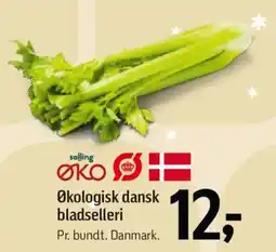 Føtex Økologisk dansk bladselleri tilbud