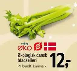 Føtex Økologisk dansk bladselleri tilbud