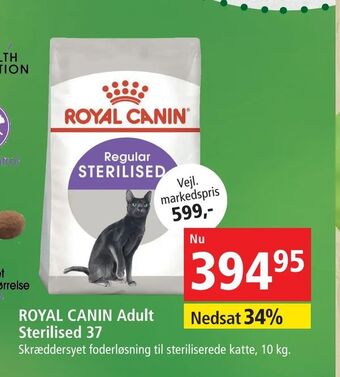 Maxi Zoo ROYAL CANIN Adult Sterilised 37 tilbud