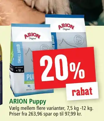 ARION Puppy