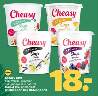CHEASY Skyr