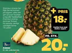 Netto Ananas tilbud
