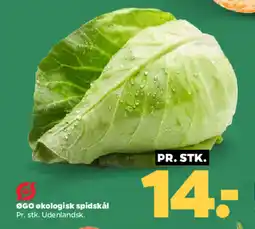Netto ØGO Økologisk spidskål tilbud