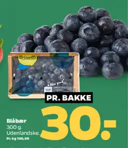 Netto Blåbær tilbud