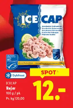 Lidl ICECAP Rejer tilbud