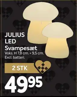 Din Isenkræmmer JULIUS LED Svampesæt, DKK 49.95 tilbud