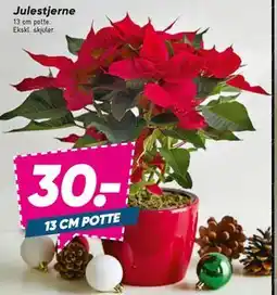 Bilka Julestjerne, DKK 30 tilbud