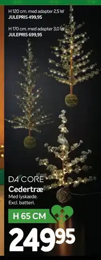 Din Isenkræmmer Cedertræ tilbud