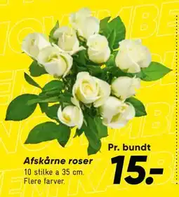 Bilka Afskårne roser, DKK 15 tilbud