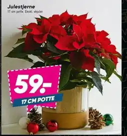 Bilka Julestjerne, DKK 59 tilbud