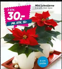 Bilka Mini julestjerne, DKK 30 tilbud