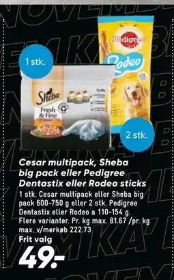 Bilka Cesar multipack, Sheba big pack eller Pedigree Dentastix eller Rodeo sticks, DKK 49 tilbud