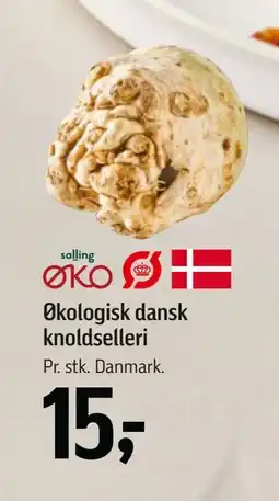 Føtex Økologisk dansk knoldselleri, DKK 15 tilbud