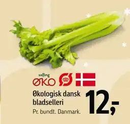 Føtex Økologisk dansk bladselleri, DKK 12 tilbud