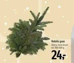 Føtex Nobilis gran, DKK 24 tilbud