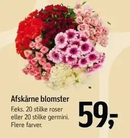 Føtex Afskårne blomster, DKK 59 tilbud