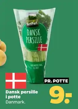 Netto Dansk persille i potte, DKK 9 tilbud