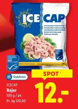 Lidl Rejer, DKK 12 tilbud
