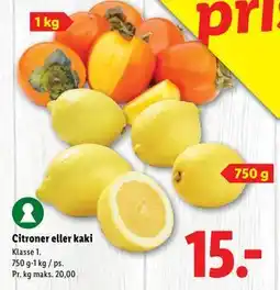 Lidl Citroner eller kaki, DKK 15 tilbud