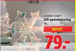 Lidl LED-pyntebelysning, DKK 79 tilbud