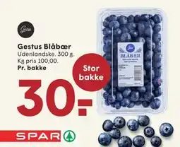 SPAR Gestus Blåbær, DKK 30 tilbud