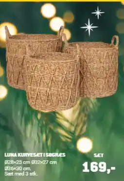 XL-BYG Luna kurvesæt i søgres tilbud