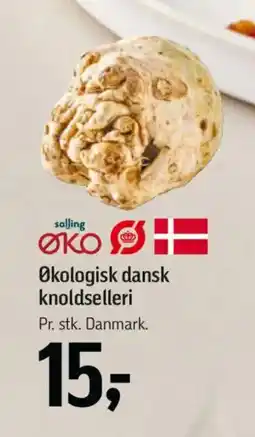 Føtex Økologisk dansk knoldselleri tilbud