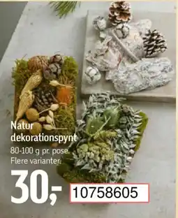 Føtex Natur dekorationspynt tilbud