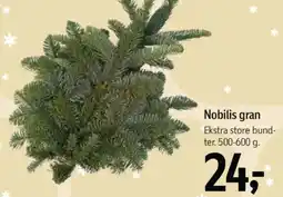 Føtex Nobilis gran tilbud