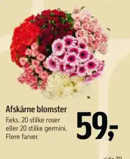 Føtex Afskårne blomster tilbud