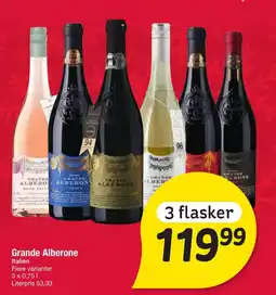 Fakta Tyskland Grande Alberone tilbud