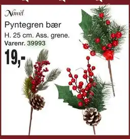 Harald Nyborg Pyntegren bær, DKK 19 tilbud