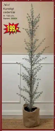 Harald Nyborg Kunstigt cedertræ, DKK 199 tilbud