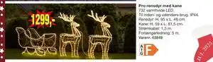 Harald Nyborg Pro rensdyr med kane, DKK 1299 tilbud