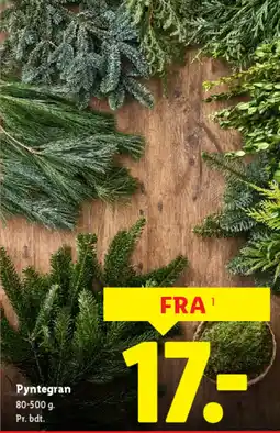 Lidl Pyntegran tilbud