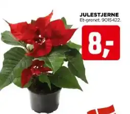 jem & fix Julestjerne tilbud