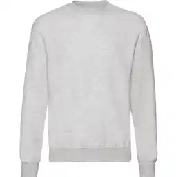 Sport 24 Fruit Of The Loom Sweatshirt Unisex tilbud