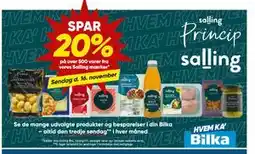Bilka Spar 20% på over 500 varer fra vores Salling mærker tilbud