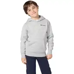 Sport 24 Champion Embroidered Small Logo Hættetrøje Børn tilbud