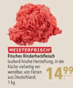 Citti Meisterfrisch frisches rinderhackfleisch tilbud