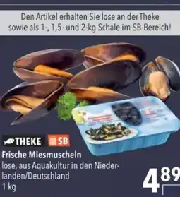 Citti Frische miesmuscheln theke sb tilbud