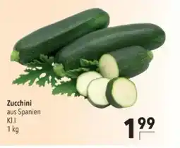 Citti Zucchini aus Spanien KI.I tilbud