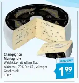 Citti Champignon Montagnolo tilbud