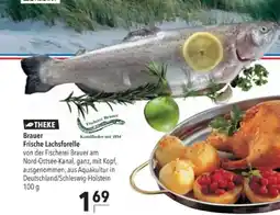 Citti Brauer Frische Lachsforelle tilbud