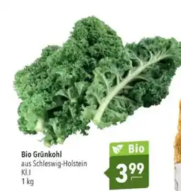 Citti Bio Grünkohl tilbud