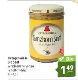 Citti Zwergenwiese Bio Senf tilbud